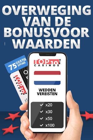 overweging van de bonus voor waarden